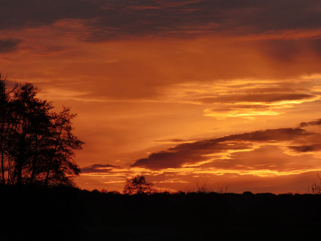 Vallée de l'Ysieux (novembre 2015)